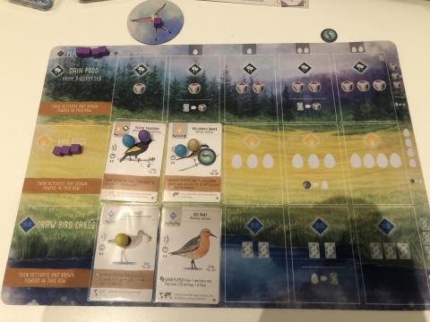 Wingspan - Gameplay